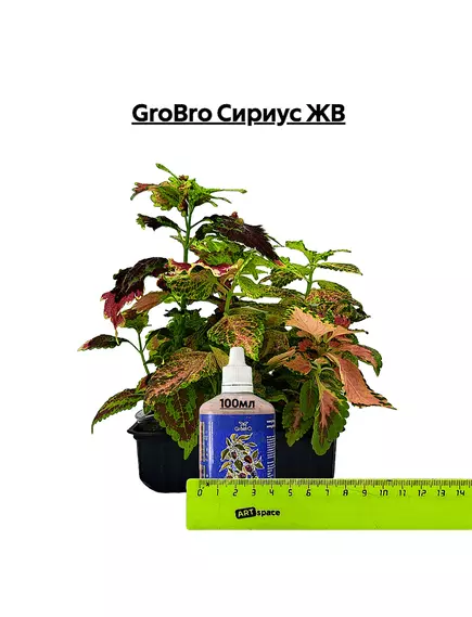 GROBRO Сириус ЖВ Базовое Питание. Жесткая вода.Набор