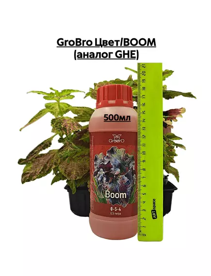 GROBRO Цвет/BOOM (аналог GHE)