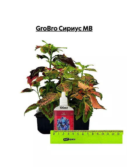GROBRO Сириус МВ Питание для гидро. Мягкая вода.Набор