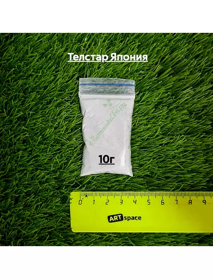 Телстар Япония