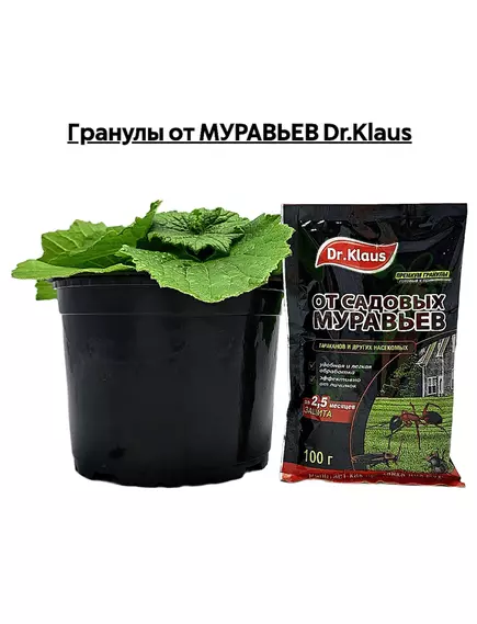 Гранулы от МУРАВЬЕВ DR.KLAUS