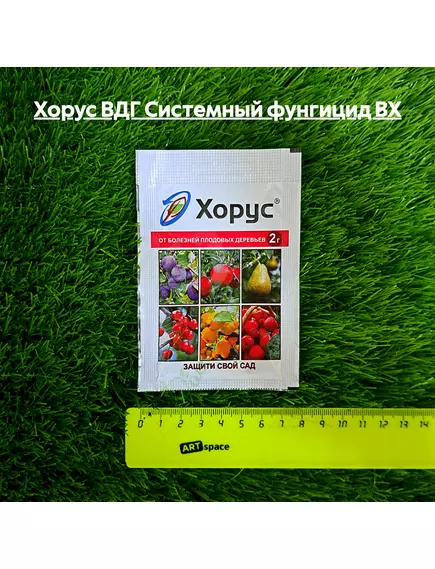 Хорус ВДГ Системный фунгицид ВХ