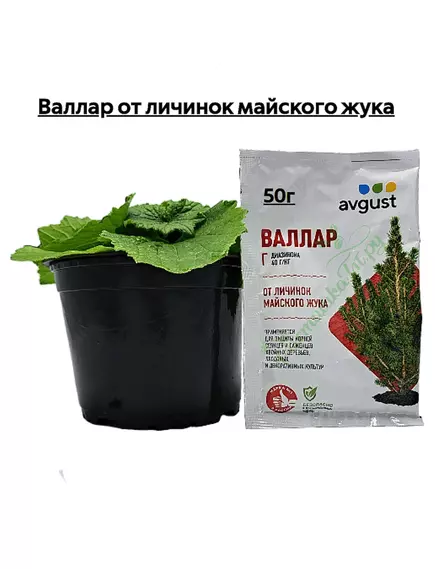 Валлар от личинок майского жука