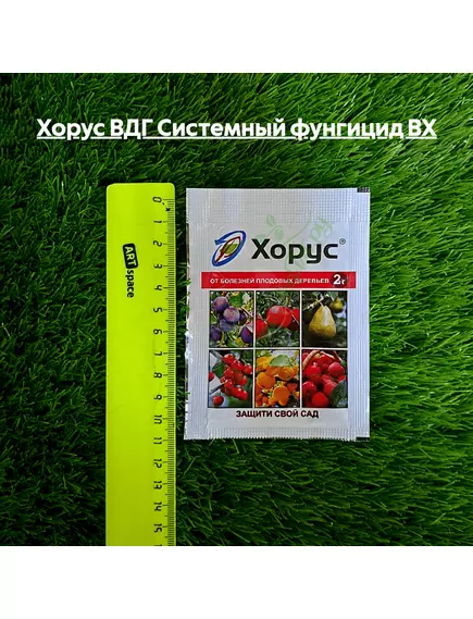 Хорус ВДГ Системный фунгицид ВХ
