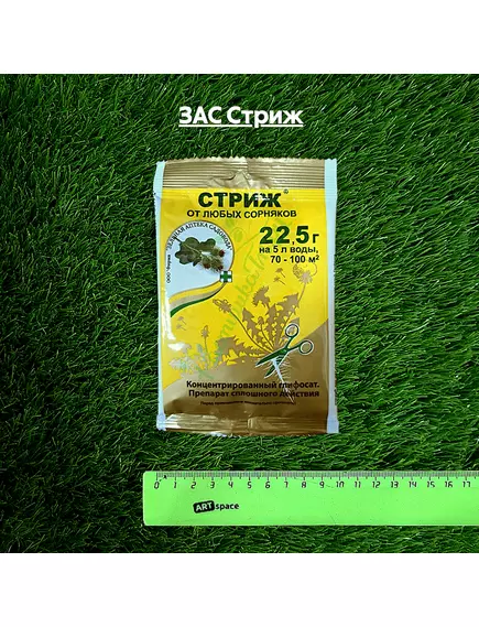 ЗАС Стриж
