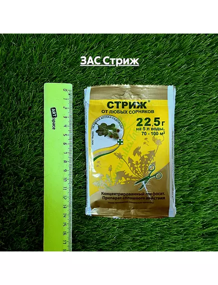 ЗАС Стриж