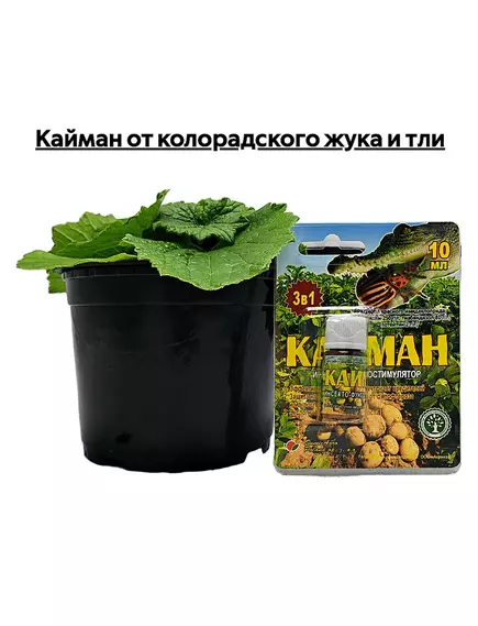 Кайман от колорадского жука и тли