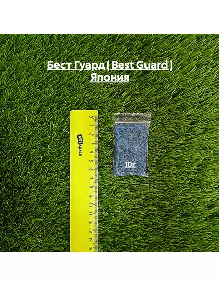 Бест Гуард ( BEST GUARD ) Япония