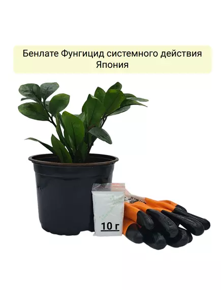 Бенлате Фунгицид системного действия Япония