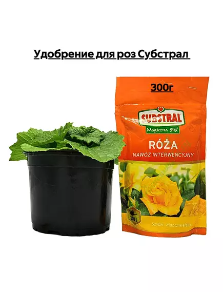 Удобрение для роз Субстрал 300 г
