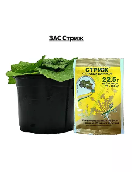 ЗАС Стриж
