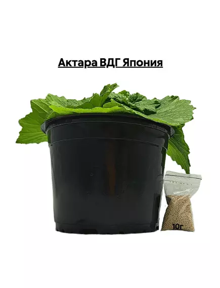 Актара ВДГ Япония