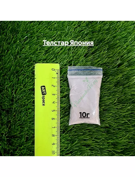 Телстар Япония