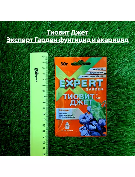 Тиовит Джет Эксперт Гарден фунгицид и акарицид