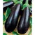 Баклажан Рома  F1 10 шт Сады Азия