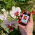 GROW MORE PREMIUM ORCHID 30-10-10 ПОДКОРМКА ДЛЯ ОРХИДЕЙ 25 Г GROW MORE PREMIUM ORCHID 30-10-10 подкормка для орхидей 25 г