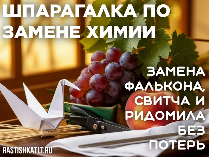 Шпаргалка по замене химии